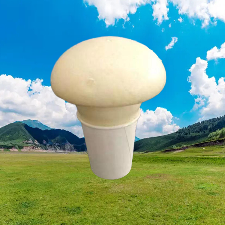 1681697309229741.jpg 马丽散 (13).jpg